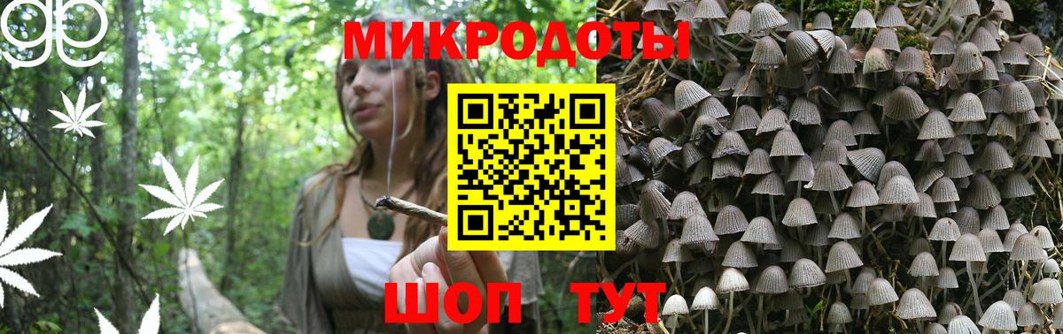 цена наркотик  Галлюциногенные грибы MAGIC MUSHROOMS  Вход с VPN  Краснодар 